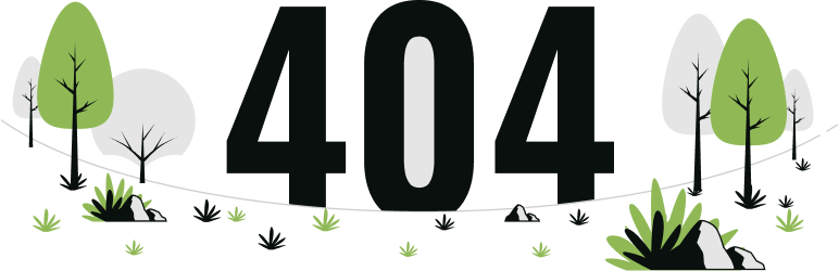 404 Error Page