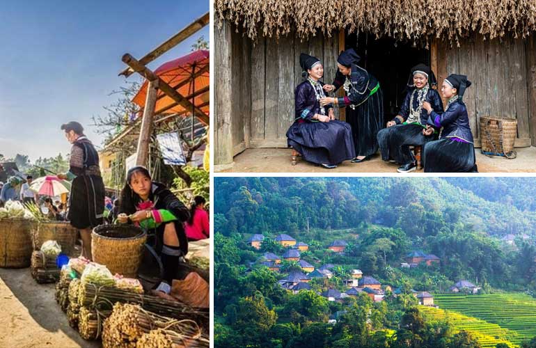 Sapa Overview