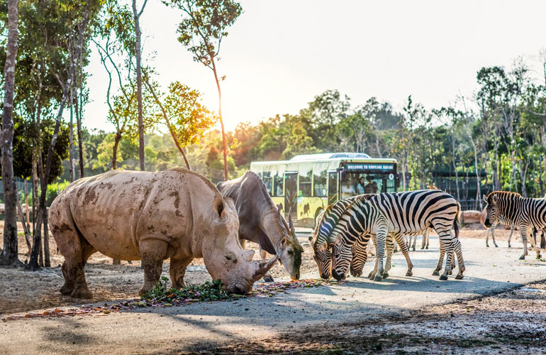 Safari in Phu Quoc