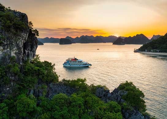 Cozy Bay Premium Cruise
