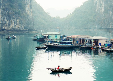 Explore Lan Ha Bay, Viet Hai village and Cat Ba Island (B, L, D)