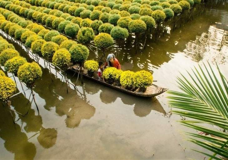 Mekong Delta Day Trip