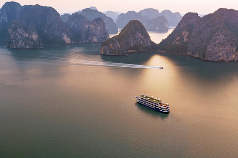 Verdure Lotus Cruise in Halong Bay