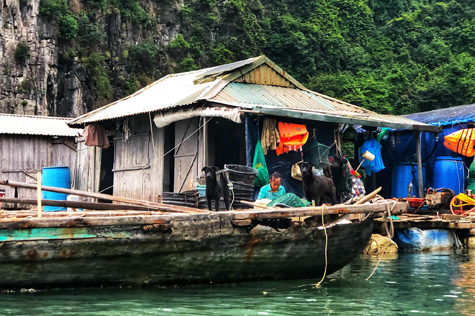 Indian tourists experience life in a fishing village in HaLong Bay.