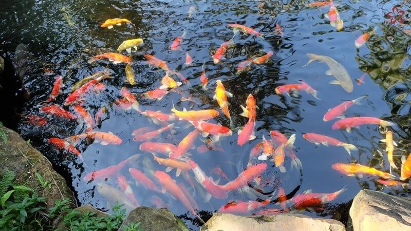 Lahana Resort Phu Quoc & Spa