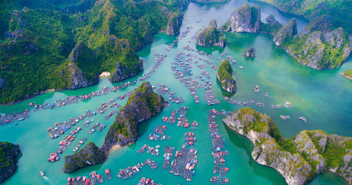 Indochine Cruise