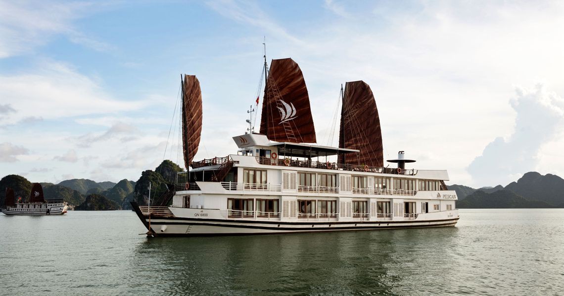 Pelican Cruise