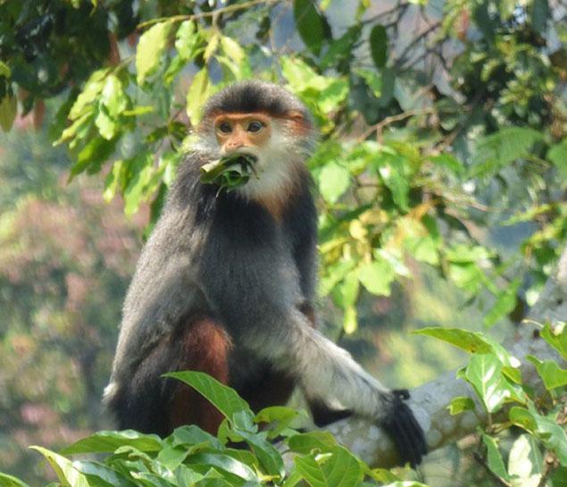 Bach Ma National Park Discovery Full Day