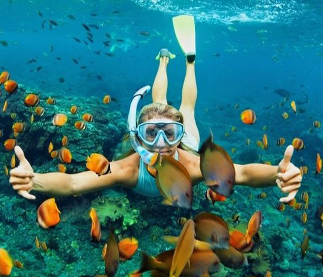 Cham Island Sightseeing And Snorkeling Tour
