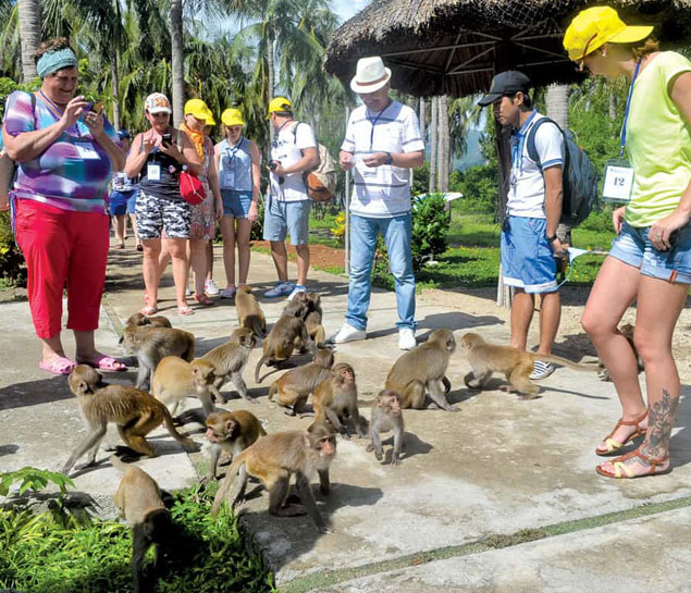 Cham Island Sightseeing And Snorkeling Tour