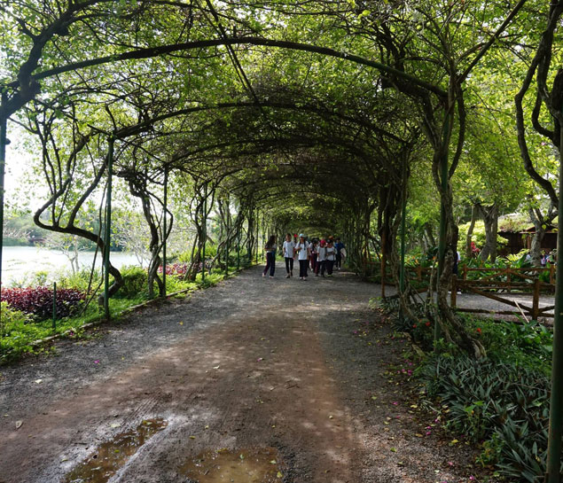 Cu Chi Tunnel Half Day Tour