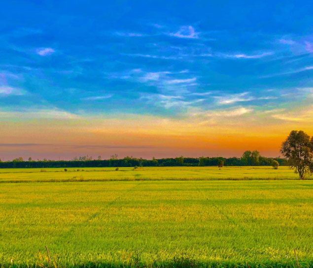 Mekong Delta Day Trip