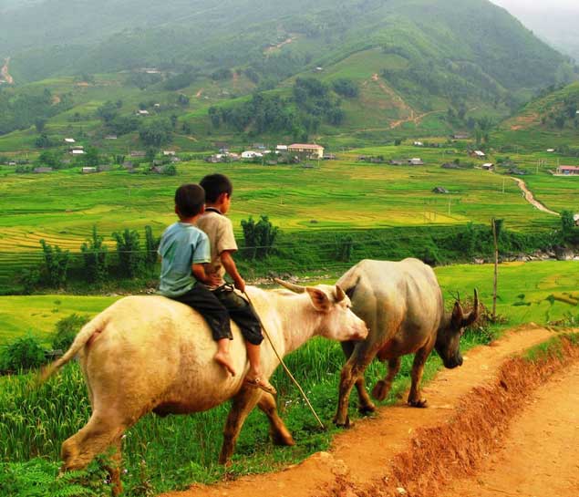 Sapa tour from Hanoi